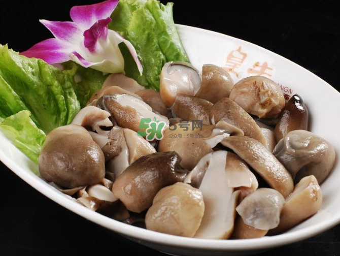 草菇孕婦能吃嗎？草菇要煮多久可以吃？