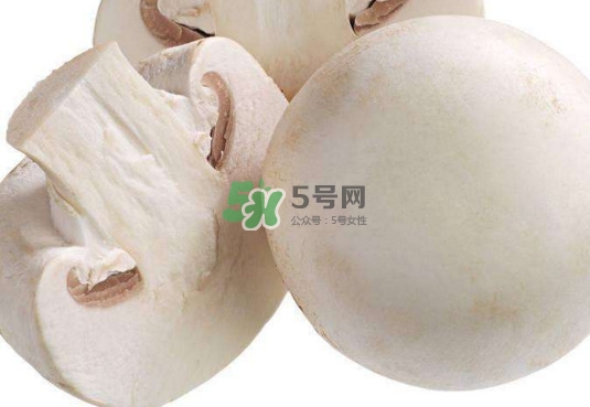 新鮮白蘑菇怎么做好吃？白蘑菇有什么好處