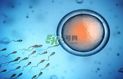 精子在女性體內(nèi)可以存活多久？男性的精子會枯竭嗎？