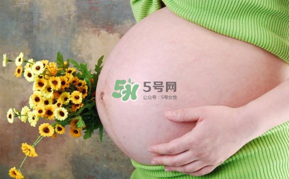 為什么孕婦的肚子有尖有圓？孕婦肚子尖圓對(duì)照圖