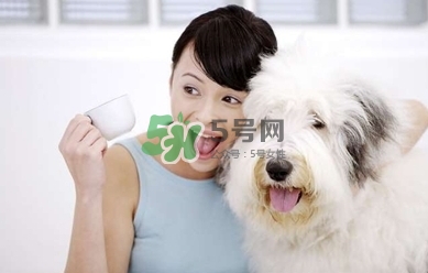孕婦能養(yǎng)狗嗎？孕婦養(yǎng)狗注意事項(xiàng)