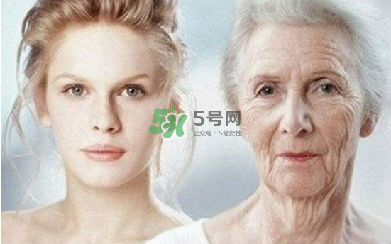 抗氧化是抗衰老嗎？抗氧化是不是就等于抗衰老？