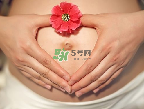 秋天孕婦可以吃絲瓜嗎？秋天孕婦吃絲瓜好嗎？