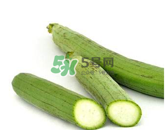 秋天吃絲瓜掉頭發(fā)嗎？秋天吃絲瓜愛掉頭發(fā)是真的嗎？