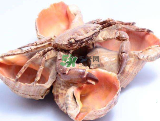 螃蟹殼里的東西是什么？螃蟹殼里什么不能吃？