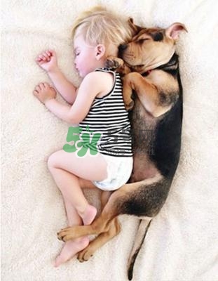 孕婦能養(yǎng)狗嗎？孕婦養(yǎng)狗注意事項(xiàng)