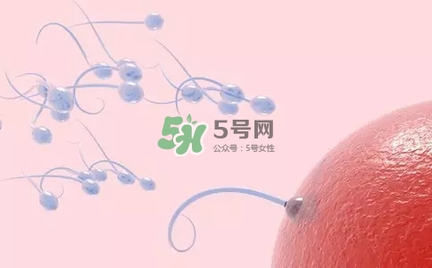 精子在女性體內(nèi)可以存活多久？男性的精子會枯竭嗎？