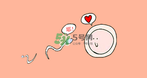 精子在女性體內(nèi)可以存活多久？男性的精子會枯竭嗎？