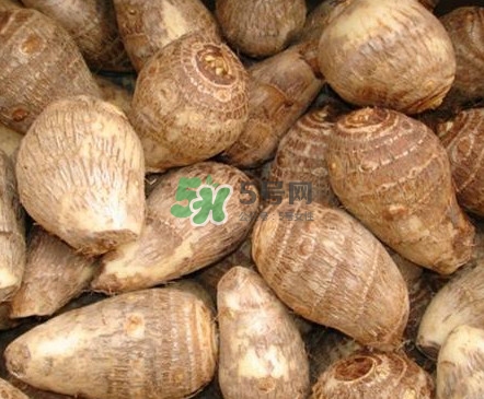 香芋如何種植？香芋的種植方法