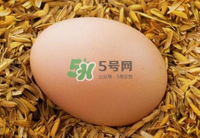 芝麻醬和雞蛋能一起吃嗎？雞蛋可以和芝麻醬一起吃嗎