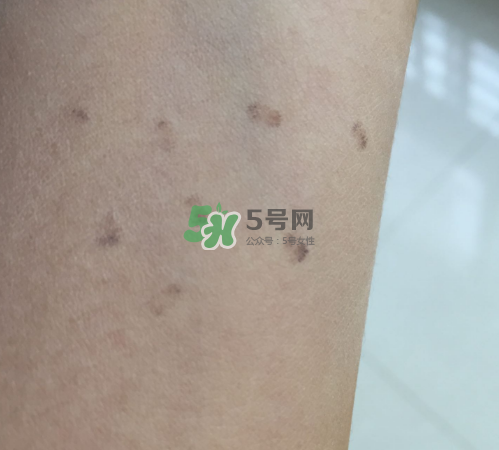 bobbi brown粉餅多少錢？芭比波朗粉餅價格
