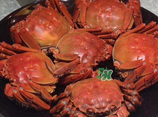 盤錦河蟹批發(fā)市場在哪？盤錦河蟹哪里最正宗？