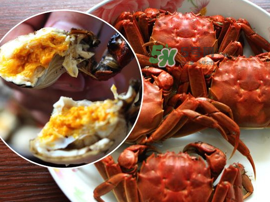 盤錦河蟹批發(fā)市場在哪？盤錦河蟹哪里最正宗？