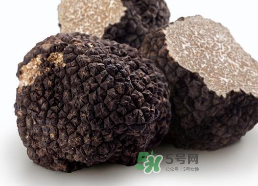 松露是什么樣子的？松露是怎么形成的