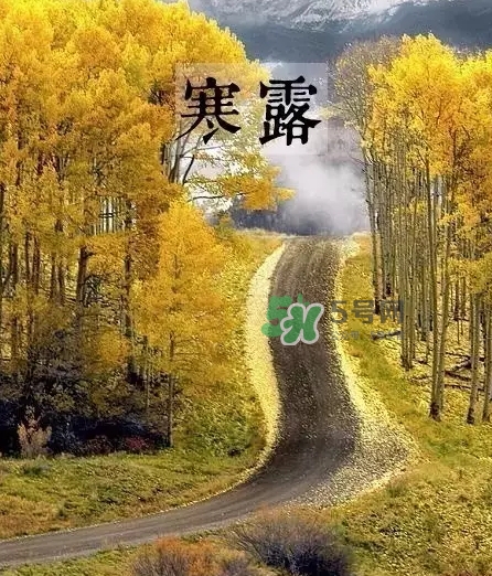 白露是寒露嗎？白露和寒露的區(qū)別
