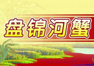 盤錦河蟹批發(fā)市場在哪？盤錦河蟹哪里最正宗？