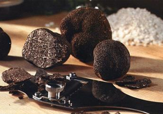 松露是保健品嗎？松露怎么保存