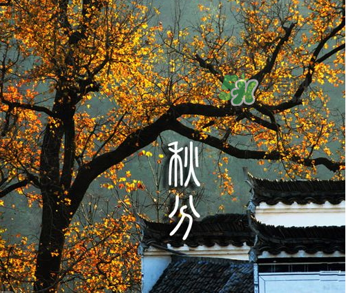 2017秋分會下雨嗎？2017秋分下雨好不好？