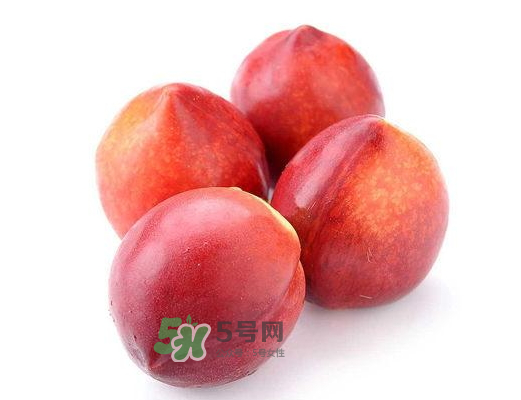 九月份還有桃子嗎？9月份成熟的桃子有幾種？