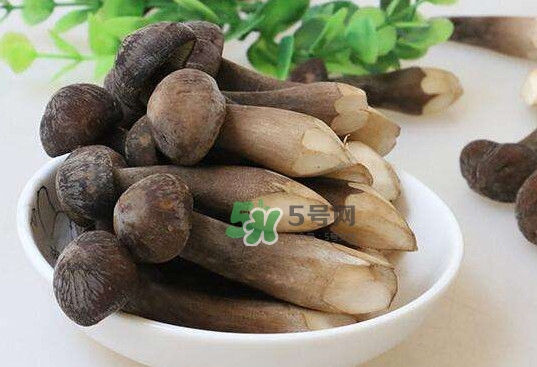 雞樅菌和松茸哪個(gè)更好？雞樅菌有什么營養(yǎng)