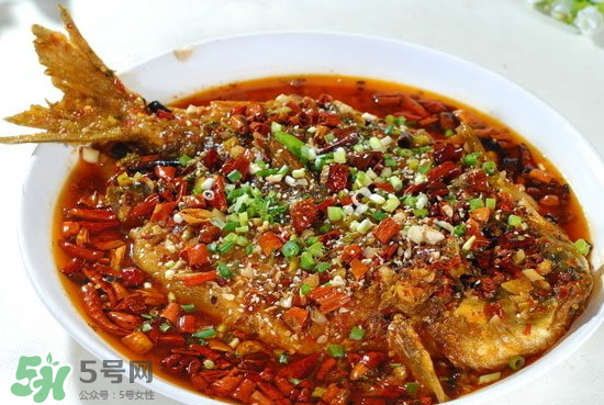黑魚能愈合傷口嗎？黑魚為什么對傷口愈合？