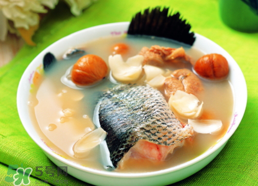 黑魚能愈合傷口嗎？黑魚為什么對傷口愈合？