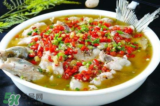 鯉魚可以做水煮魚嗎？水煮鯉魚的做法