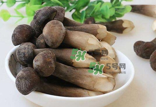 雞樅菌多少錢一斤？干雞樅菌多少錢一斤