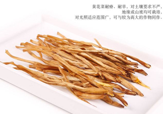 新鮮黃花菜怎么保存？干黃花菜怎么保存