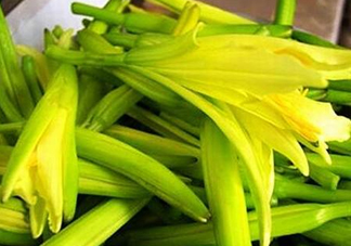 黃花菜開花了還能吃嗎？開花的黃花菜可以吃嗎