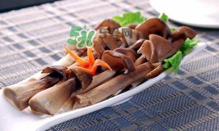 雞樅菌和松茸哪個(gè)更好？雞樅菌有什么營養(yǎng)