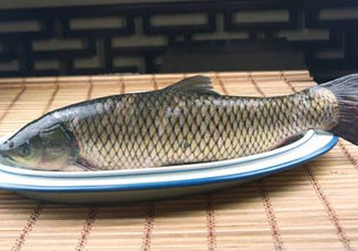 黑魚可以清蒸嗎？黑魚蒸多久？