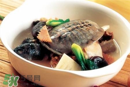 產(chǎn)婦能吃甲魚(yú)嗎？產(chǎn)婦能吃甲魚(yú)湯嗎？