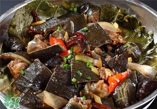甲魚湯下奶嗎？下奶的食物有哪些？