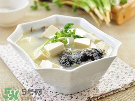 孕婦鯽魚湯可以放姜嗎？孕婦鯽魚湯能放料酒嗎？