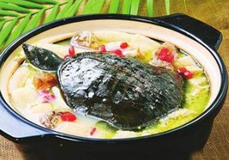 甲魚湯下奶嗎？下奶的食物有哪些？