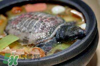產(chǎn)婦能吃甲魚(yú)嗎？產(chǎn)婦能吃甲魚(yú)湯嗎？