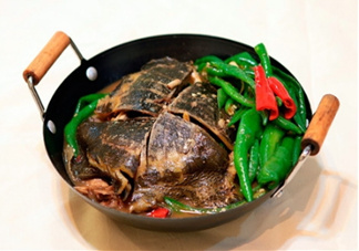 甲魚湯是涼性的嗎？甲魚湯的禁忌人群