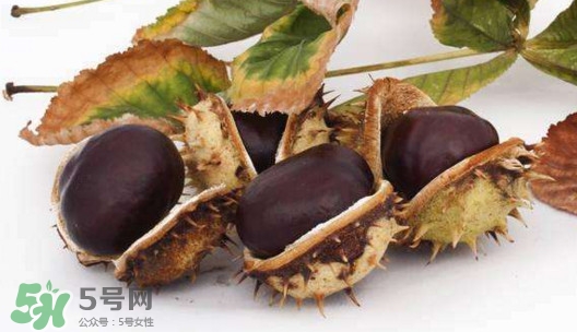 板栗殼怎么好剝？怎樣剝板栗殼最快