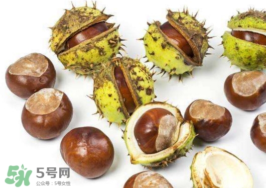 板栗殼怎么好剝？怎樣剝板栗殼最快