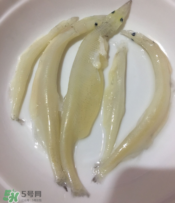 大銀魚怎么做好吃？大銀魚的做法大全