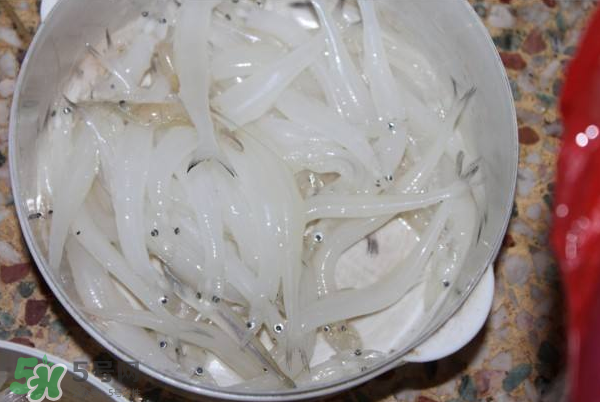 大銀魚多少錢一斤？大銀魚怎么洗？