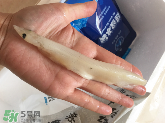 大銀魚多少錢一斤？大銀魚怎么洗？