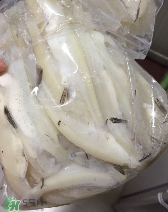 銀魚(yú)可以煲粥嗎？銀魚(yú)可以包餃子嗎？