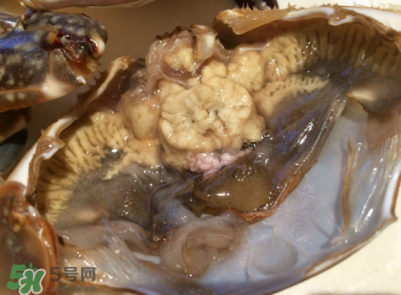 梭子蟹是野生的嗎？梭子蟹養(yǎng)的還是野生的？