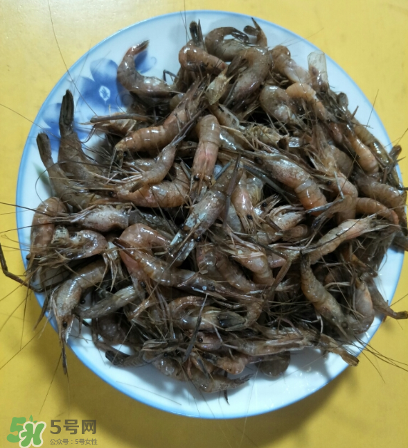 河蝦是發(fā)物嗎？河蝦是不是發(fā)物？
