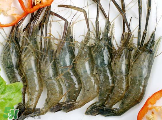 河蝦是海鮮嗎？河蝦屬于海鮮嗎？