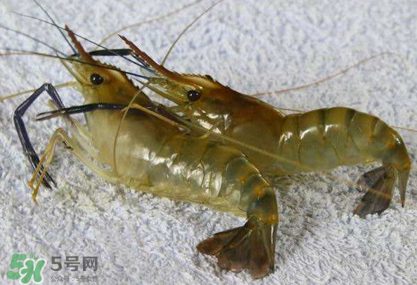 河蝦是酸性還是堿性？河蝦是涼性還是熱性？