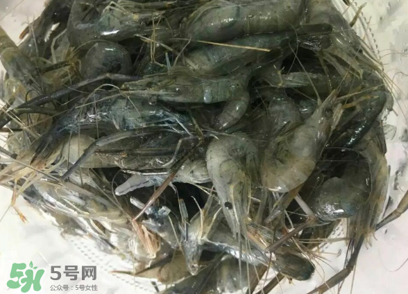 河蝦是基圍蝦嗎？河蝦是辛辣食物嗎？