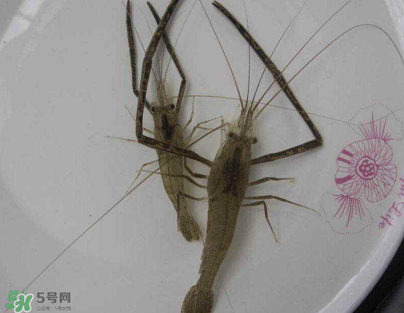 河蝦可以和牛奶同食嗎？河蝦和牛奶能一起吃嗎？